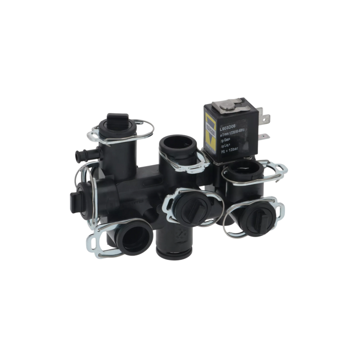 Rancilio - Hydraulic Module 2015 230V