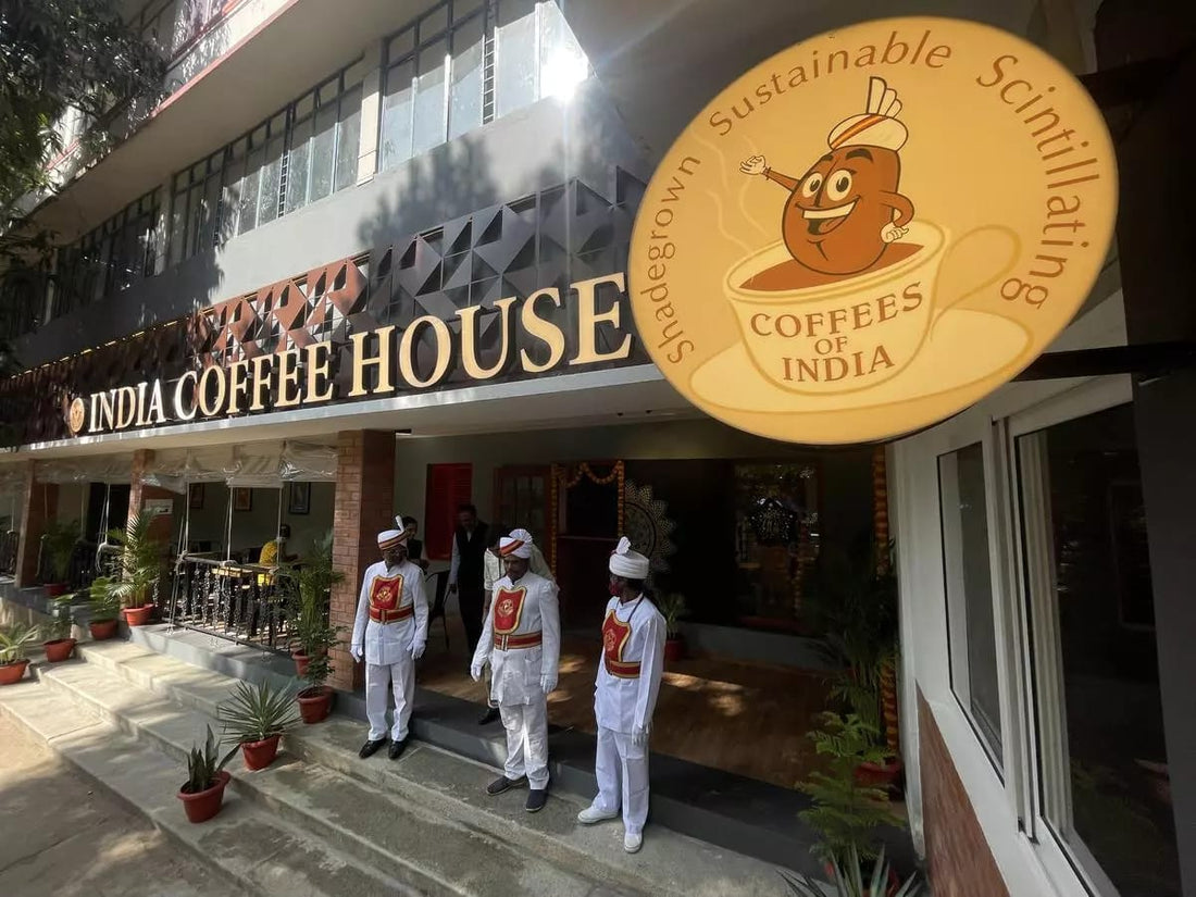 Beginner's Guide to Opening a Specialty Café in India