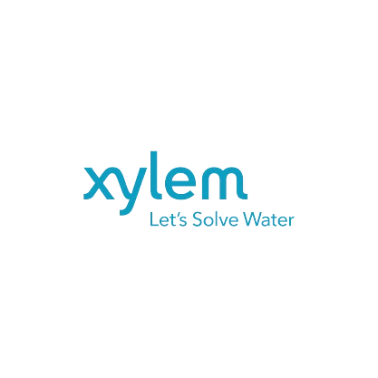 xylem