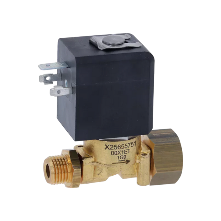 Rancilio - Valve 230V Hot Water