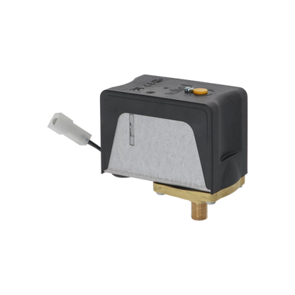 Rancilio - Mechanical Pressure Switch Wired P302/6