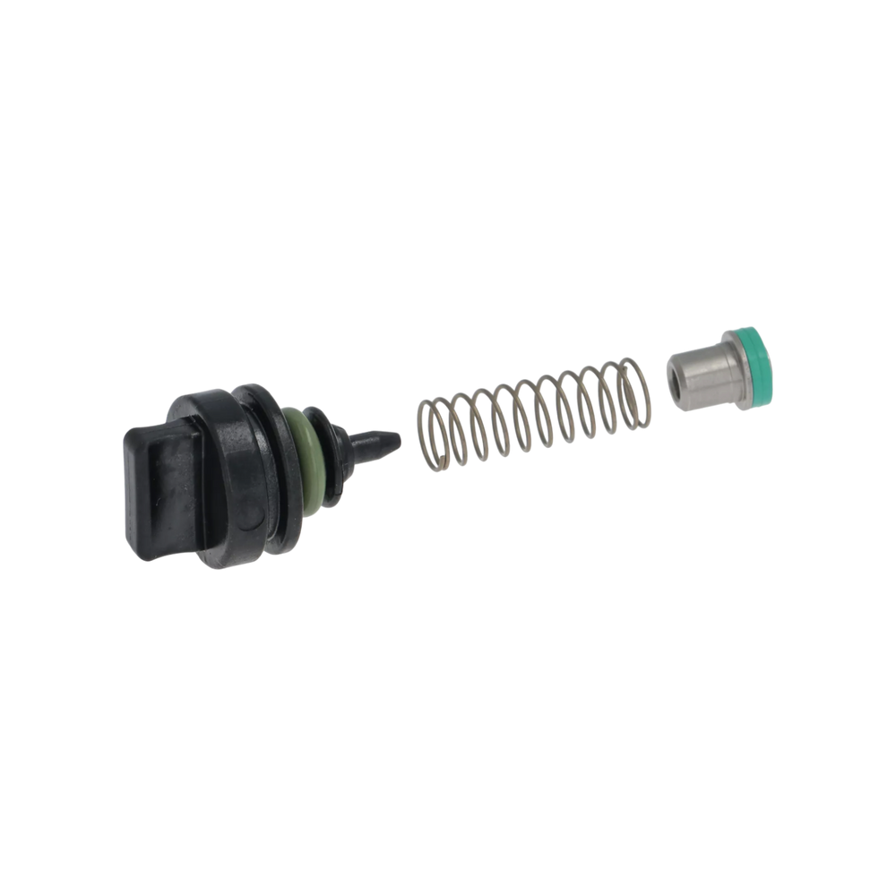 Rancilio - Kit Check Valve Complete