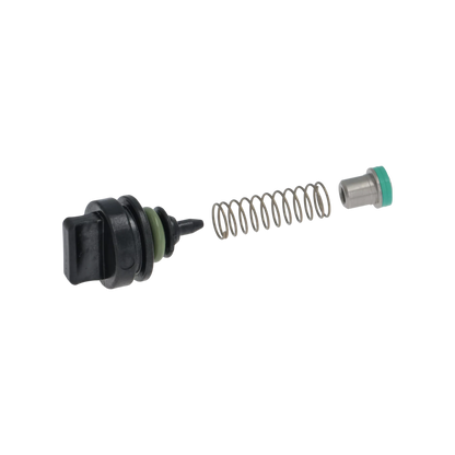 Rancilio - Kit Check Valve Complete