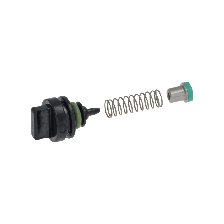 Rancilio - Kit Check Valve Complete