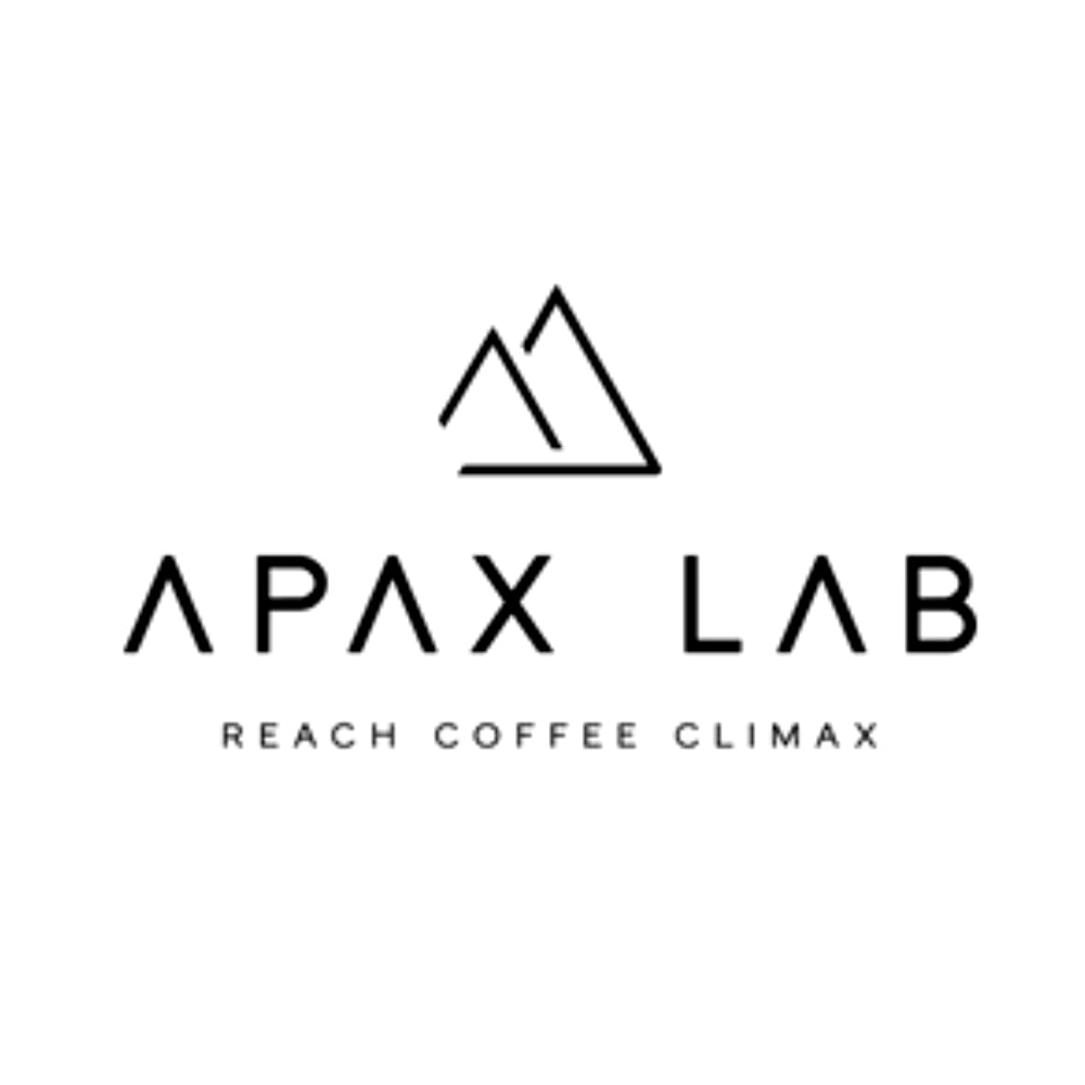 APAX_LOGO