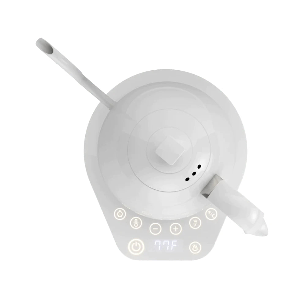 Brewista Artisan Gooseneck Kettle , 600ml - All White