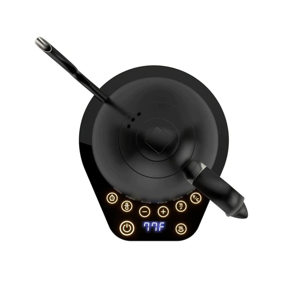 Brewista Artisan Gooseneck Kettle, 600ml - All Black