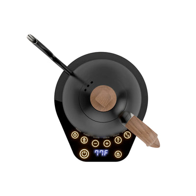 Brewista Artisan Variable Gooseneck Kettle – 1.0L Electric Kettle