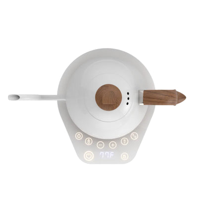 Brewista Artisan Gooseneck Kettle, 600ml - Pearl White
