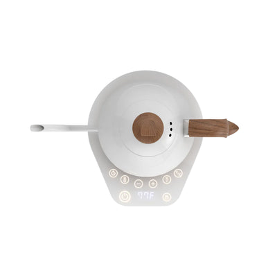 Brewista Artisan Variable Gooseneck Kettle – 1.0L Electric Kettle