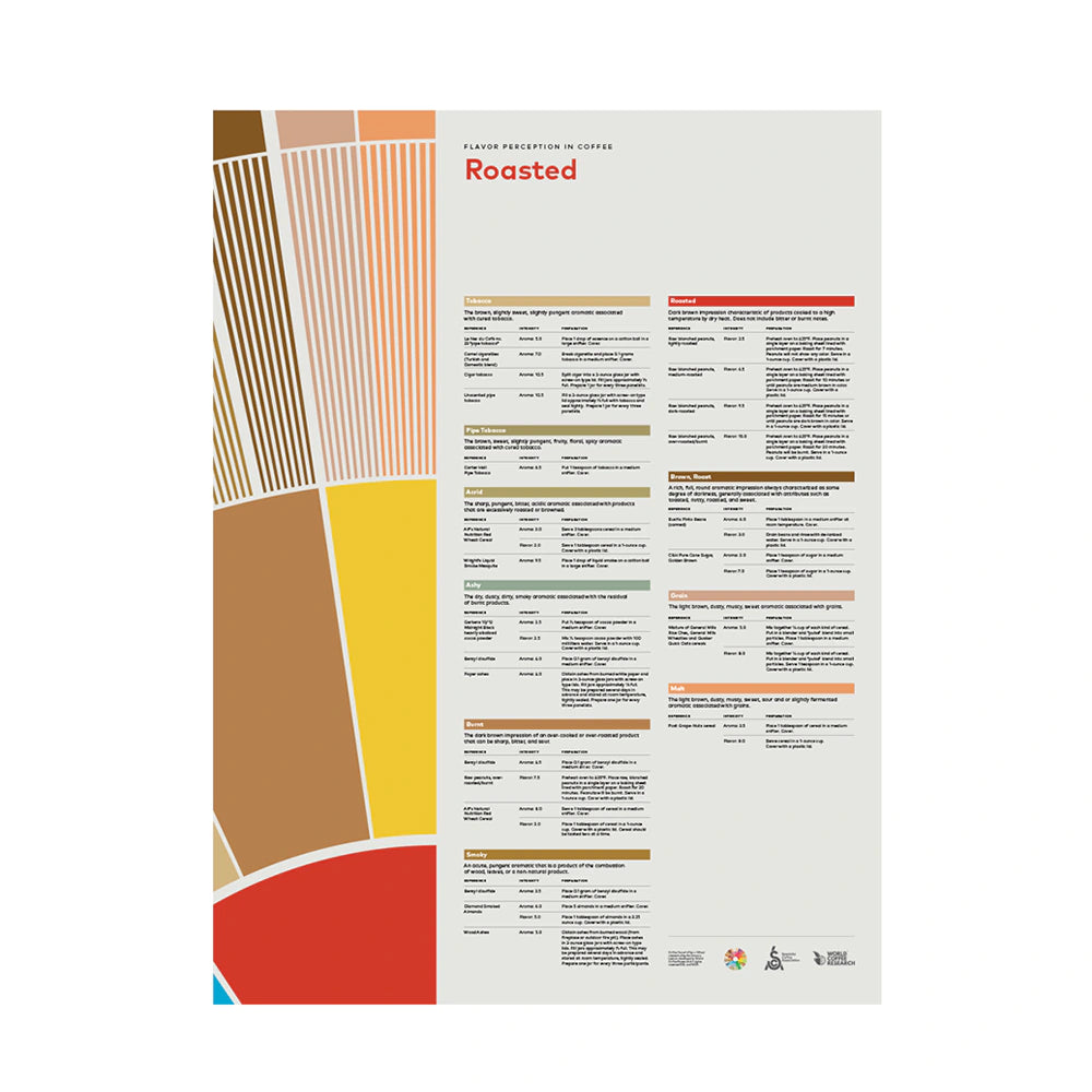 SCA Flavor Perception in Coffee Roasted