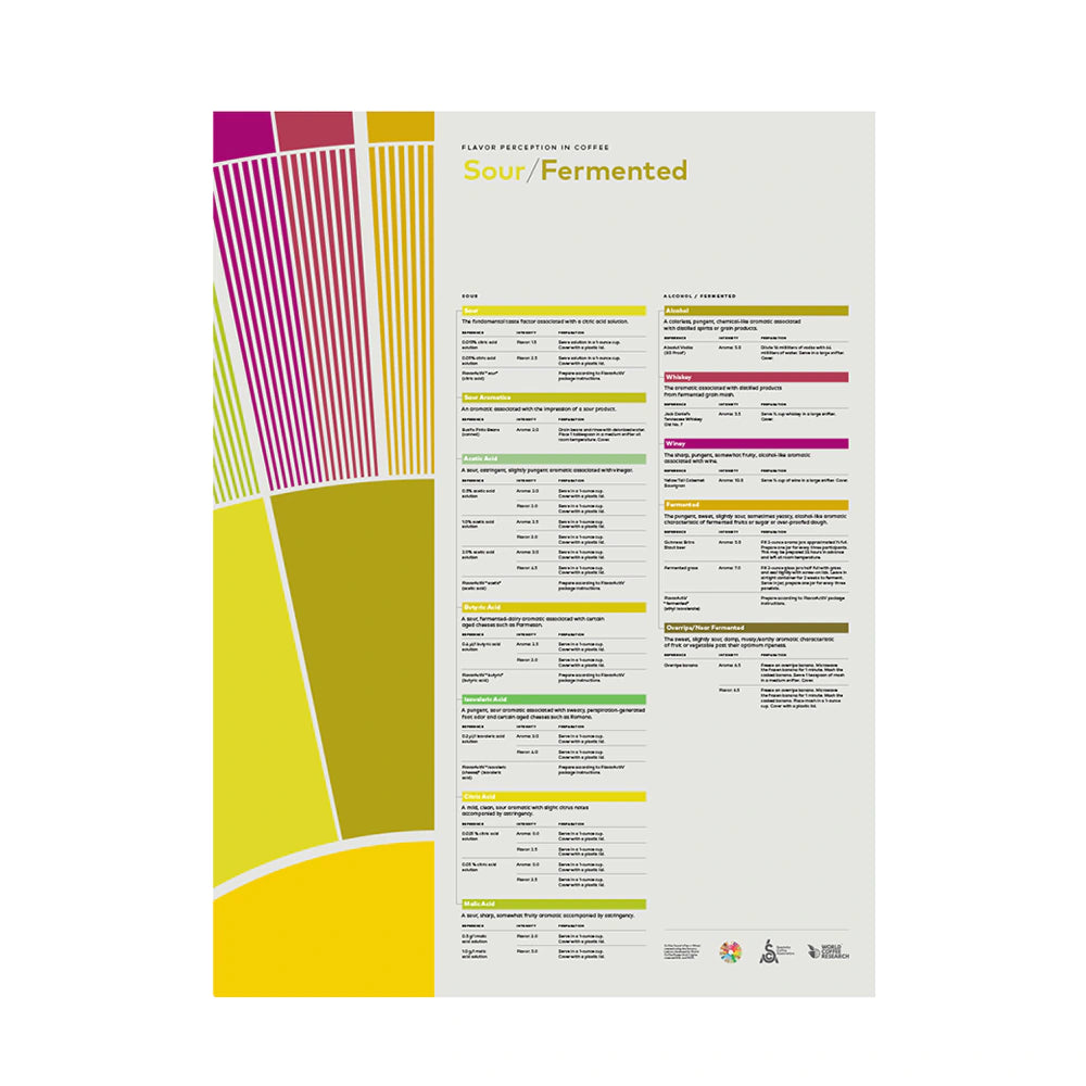 SCA Flavor Perception in Coffee | Sour & Fermented Poster – Brewing ...