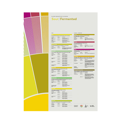 SCA Flavor Perception in Coffee Sour Fermented