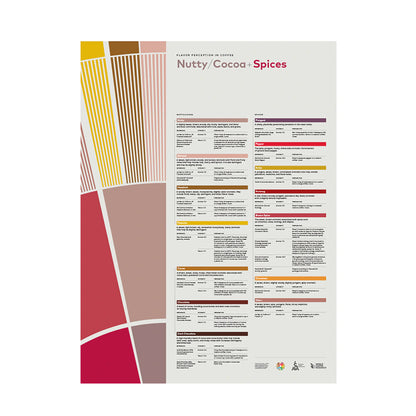 SCA Flavor Perception in Coffee - Nutty Cocoa Spices Poster