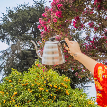 Hario V60 Buono Kettle