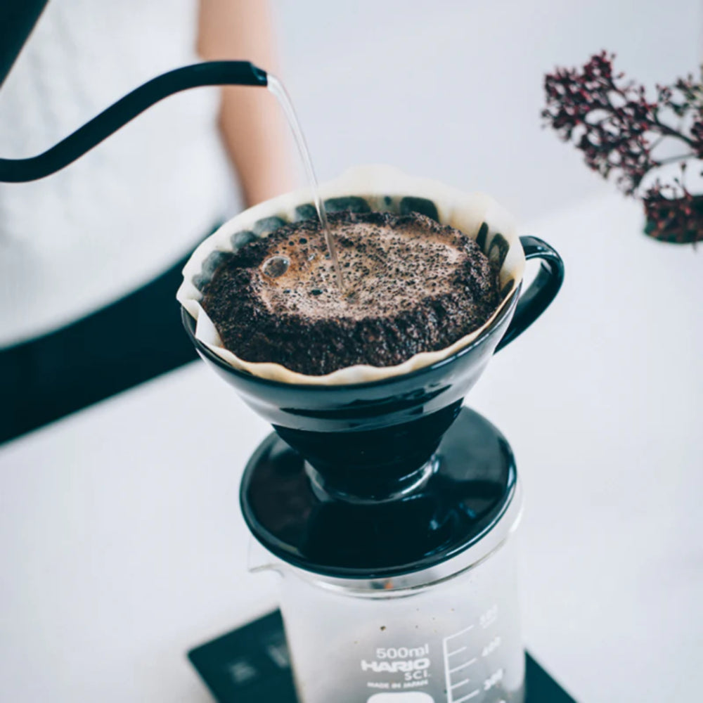 Hario V60-02 KASUYA Coffee Dripper