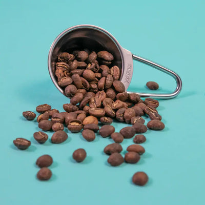 Hario V60 Measuring Spoon, Stainless Steel