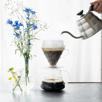 Hario V60-02 Drip-Assist