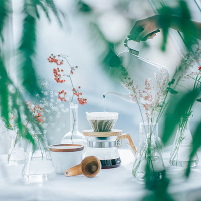 Hario V60-02 Glass Coffee Dripper with Olive Wood Holder