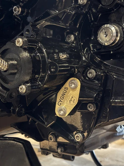 Cygnus Lever Espresso Machine
