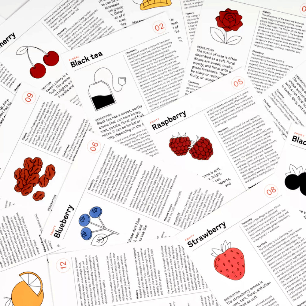 Le Nez Du Cafe 60 Aromakit EN