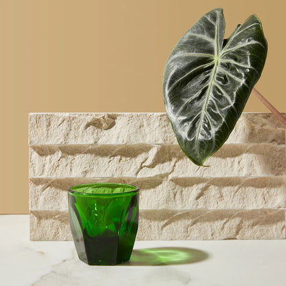 NotNeutral Vero Cortado Glass, Set Of 2