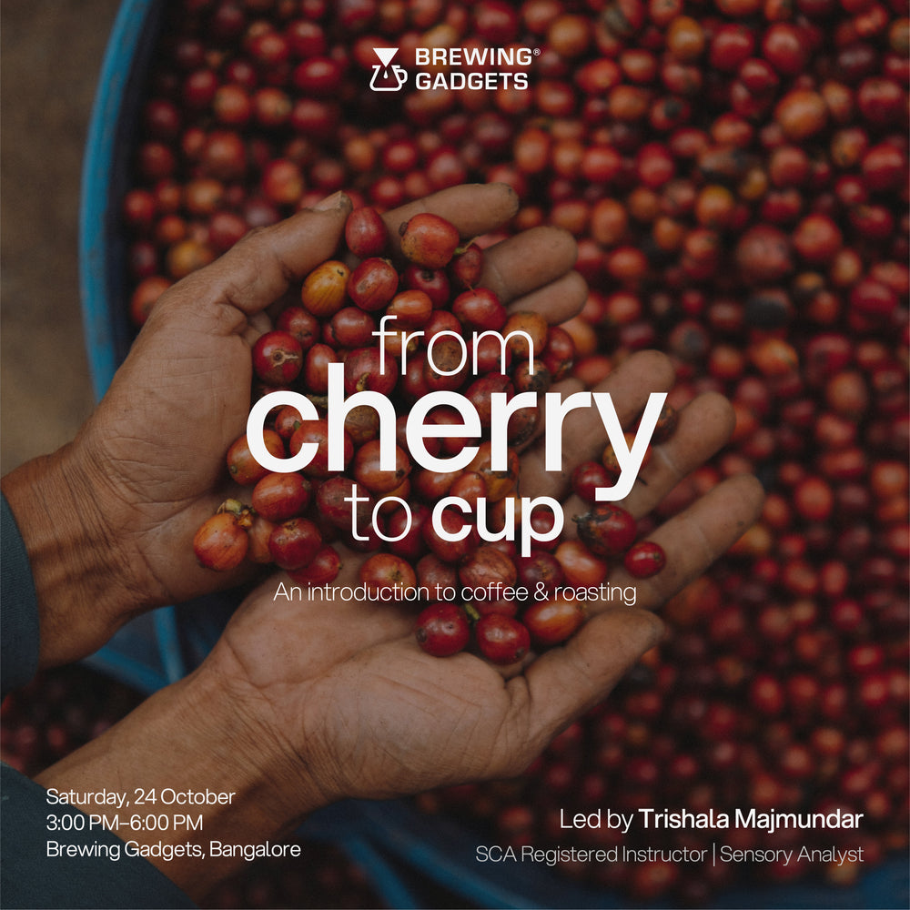 From Cherry to Cup – An Introduction to Coffee & Roasting Workshop