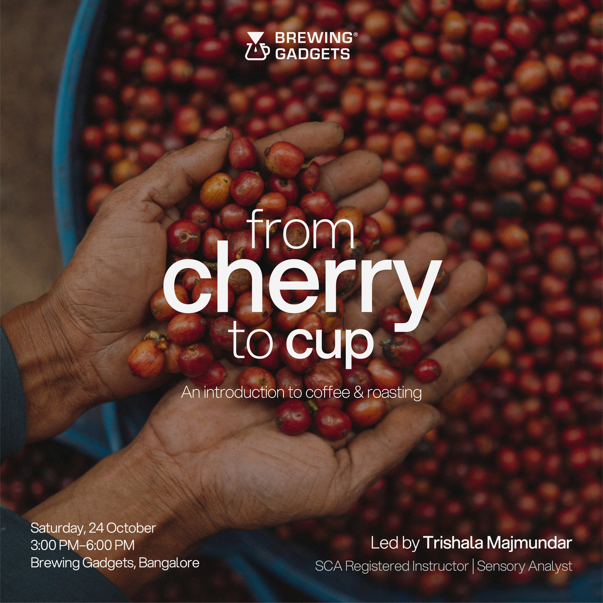 From Cherry to Cup – An Introduction to Coffee & Roasting Workshop