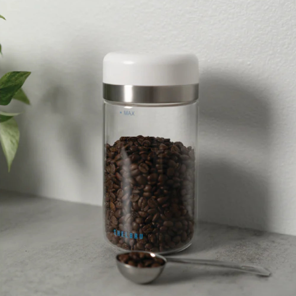 SHELBRU Canister Glass 800ml - Brewing Gadgets India Private Limited
