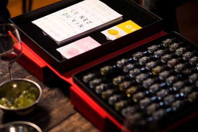 Le Nez Du Vin The Masterkit 54 aromas EN